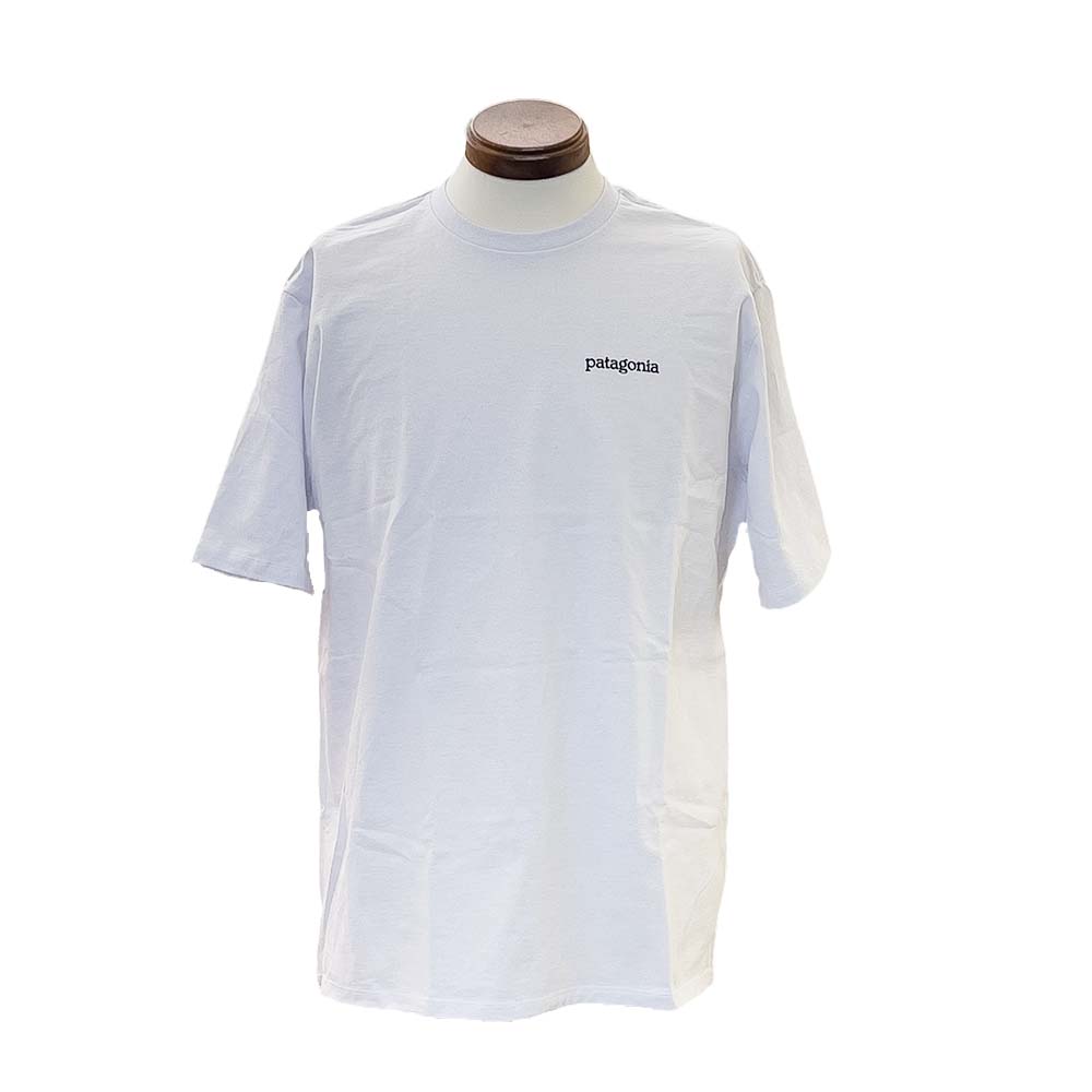 patagonia パタゴニア Tシャツ Men's Fitz Roy Horizons