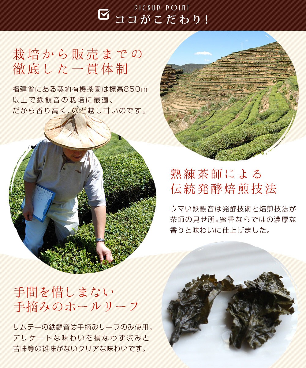 烏龍茶 茶葉 安渓鉄観音 蜜香 伝統焙煎 プレミアム150g(5g×30P) 福建省 