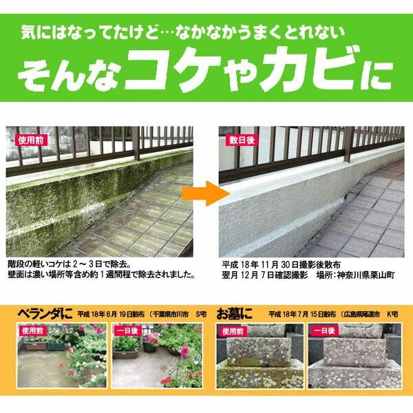 キエールコケカビ コケ取り剤 400ml カビ取り剤 : セレクトSHOPぶるー 