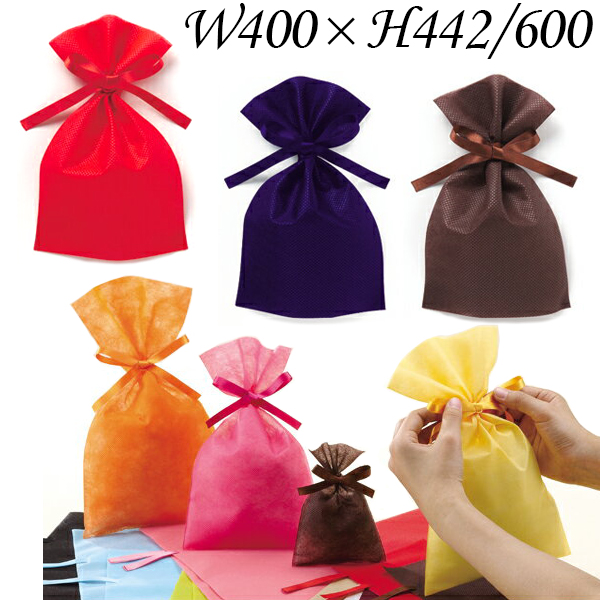 ラッピング 袋 ソフトバッグベーシック 2穴リボン巾着袋 10枚 W400