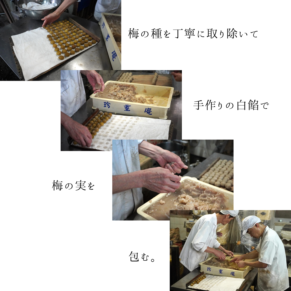 梅の種を丁寧に取り除いて、手作りの白餡で梅の実を包む。