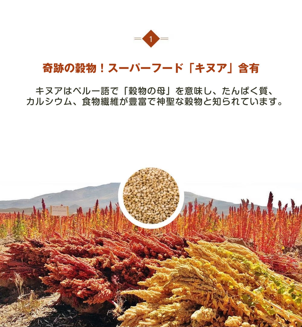 QUINOA 10穀 ミスカル スーパーフード キヌア (1袋 50包) ダイエット