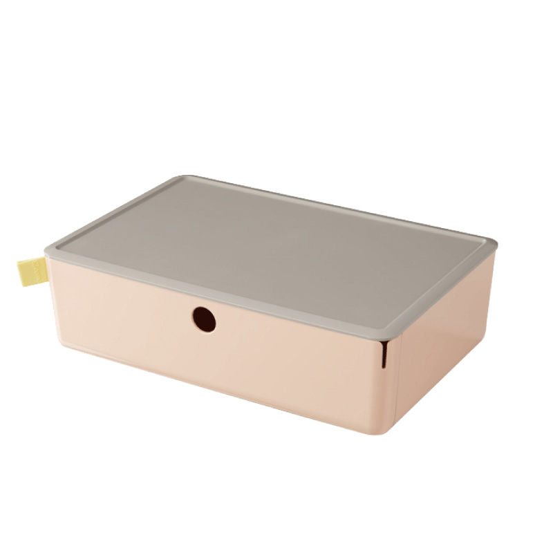 収納ボックス 小物 引き出し フタ付き 収納ケース 北欧 おしゃれ 整理箱 卓上収納 小物 子供部屋 約 幅31.7×奥行21.2×高さ9.4（cm） |  | 01