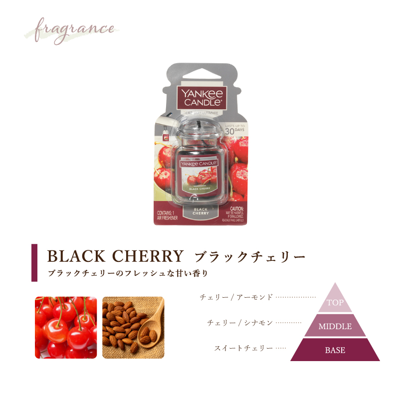 YANKEE CANDLE ヤンキーキャンドル ネオカージャー car jar