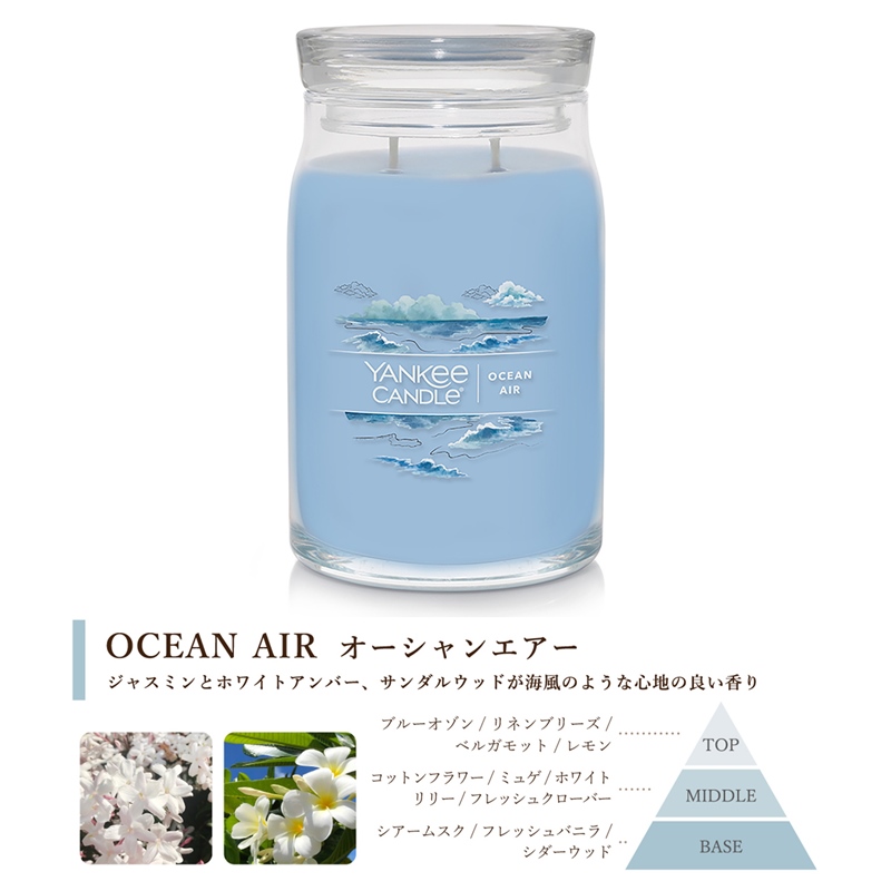 YANKEE CANDLE（ヤンキーキャンドル） アロマキャンドル シグネチャー
