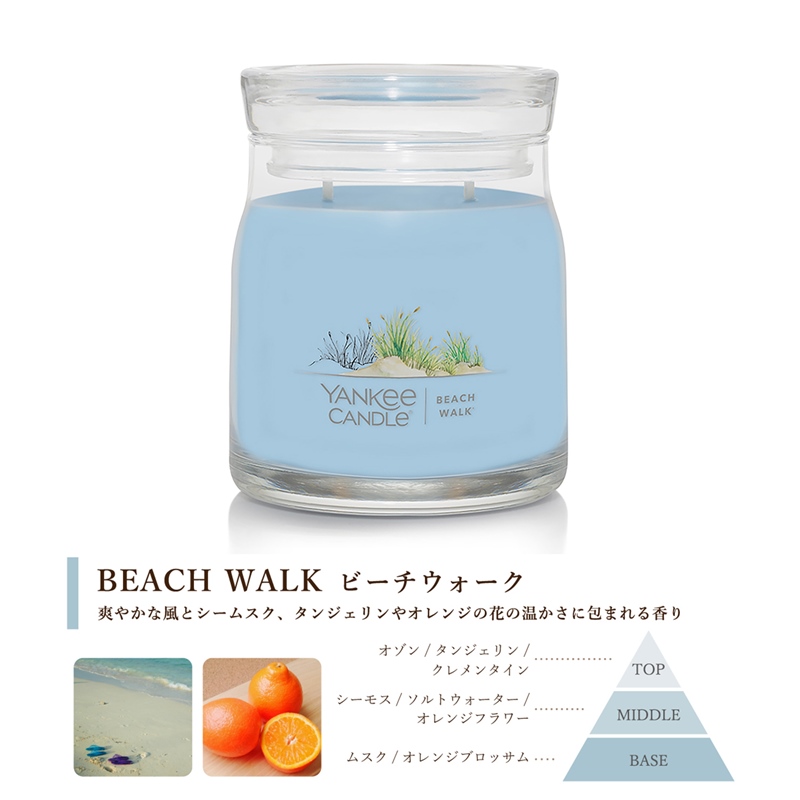 ヤンキーキャンドル  YANKEE CANDLE アロマキャンドル シグネチャー ジャーM Mサイズ 全8種類 ギフト 燃焼時間は約35〜50時間 ギフト｜chips｜06