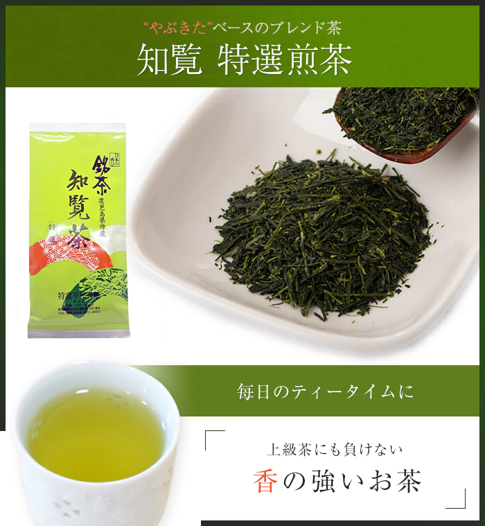静岡茶 深蒸し茶 飲み比べ100g6袋 日本茶緑茶 煎茶
