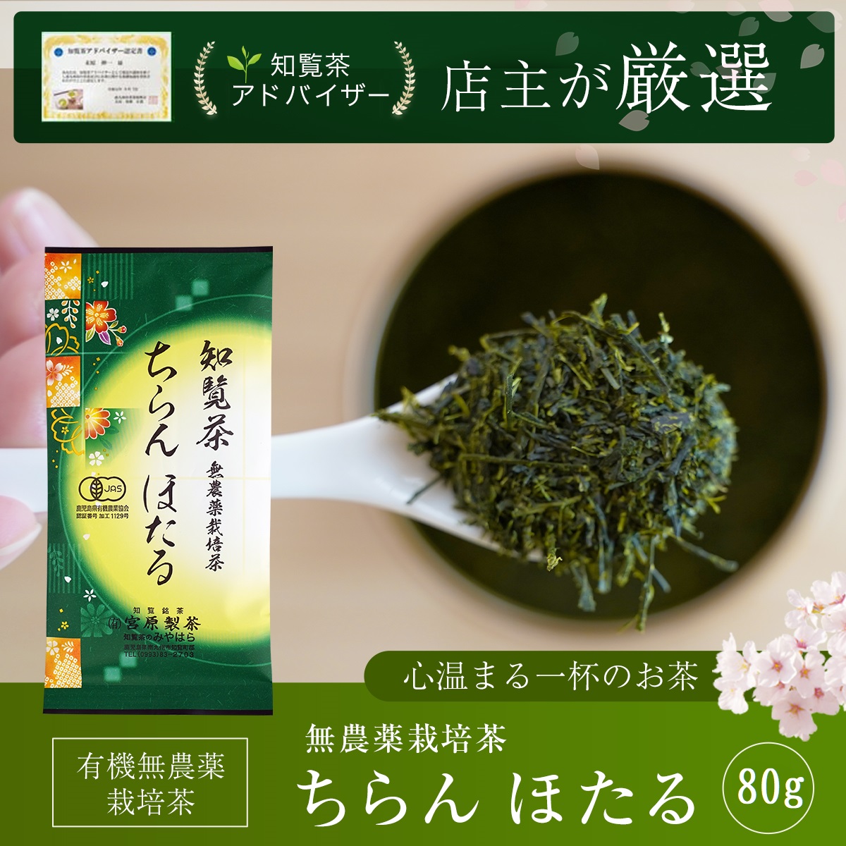 茶道物 61Ix2wnfBAL._UF350,350_QL50_.jpg