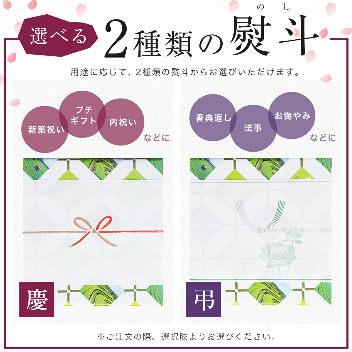 新茶になりました！知覧茶ギフトセット 煎茶 深蒸し茶 高級 90g×2本