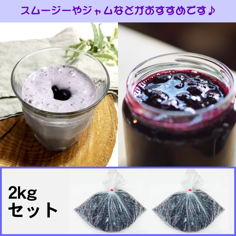 冷凍ハスカップ 2kg 北海道産 送料無料 : チトセスポーツ - 通販