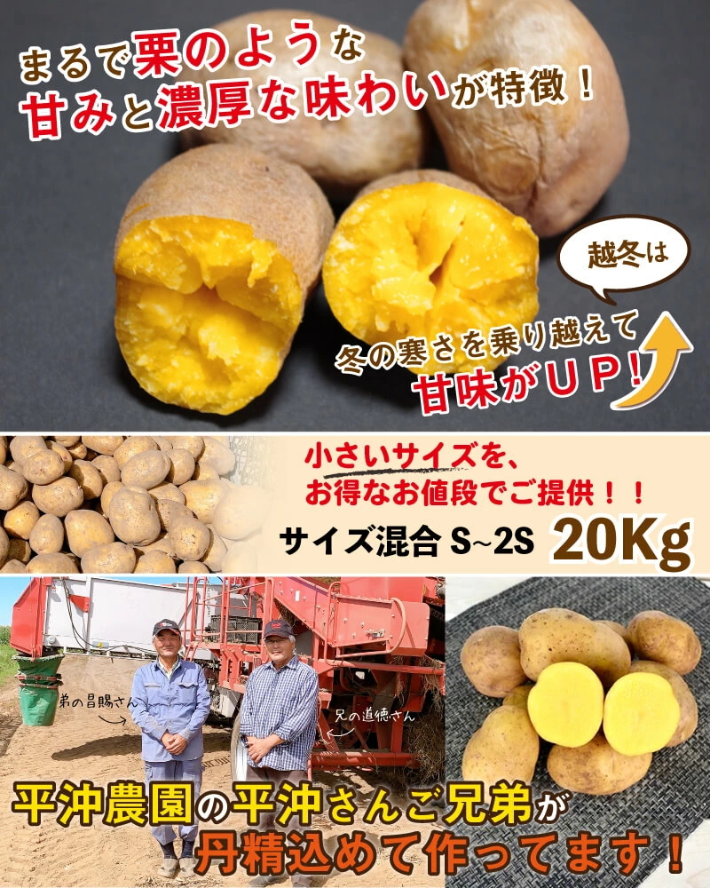 インカのめざめ 越冬 20kg（S〜2S混合）北海道 千歳産 じゃがいも ジャガイモ 送料無料 訳あり