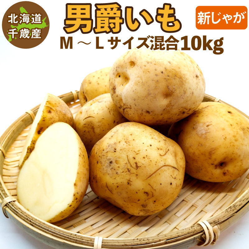 北海道産 男爵いも 新じゃが Ｍ〜２Ｌサイズ混合 10kg ご予約販売 9月下旬以降発送予定 じゃがいも ジャガイモ 男爵イモ 男爵芋 送料無料  訳あり :kf-dansyaku-10:チトセスポーツ - 通販 - Yahoo!ショッピング