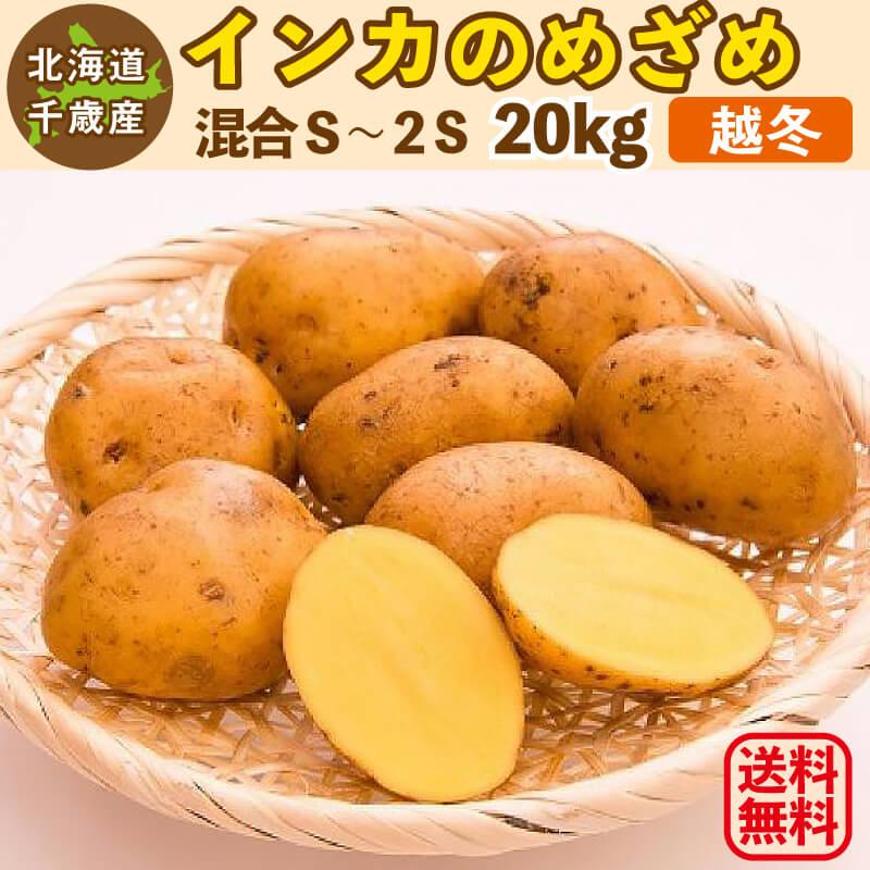 インカのめざめ 越冬 20kg（S〜2S混合）北海道 千歳産 じゃがいも ジャガイモ 送料無料 訳あり