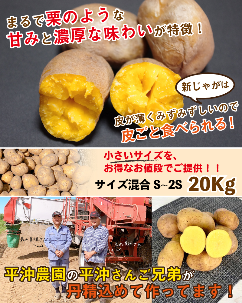 インカのめざめ 新じゃが 20kg S〜2Sサイズ混合 北海道 千歳産 ご予約販売 9月中旬発送予定 じゃがいも ジャガイモ 送料無料 訳あり :  kf-inka-20 : チトセスポーツ - 通販 - Yahoo!ショッピング