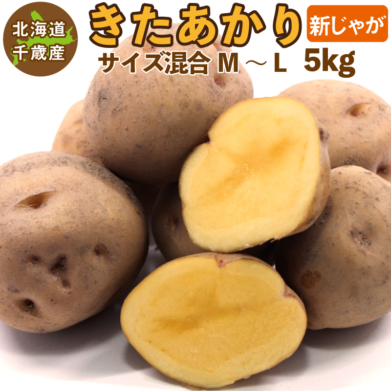 北海道産 きたあかり 新じゃが Ｍ〜Ｌサイズ混合 5kg ご予約販売 9月下旬以降発送予定 じゃがいも ジャガイモ キタアカリ 北あかり 送料無料  :kf-kitaakari-5:チトセスポーツ - 通販 - Yahoo!ショッピング