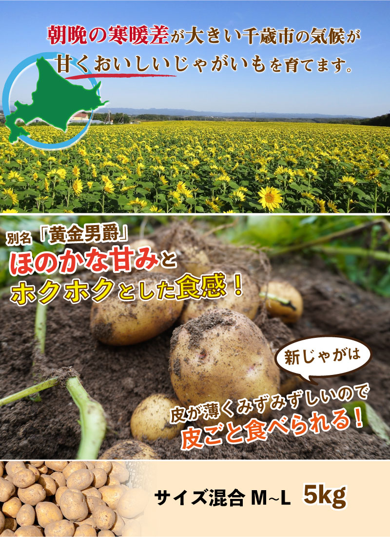 北海道産 きたあかり 新じゃが M〜Lサイズ混合 5kg じゃがいも
