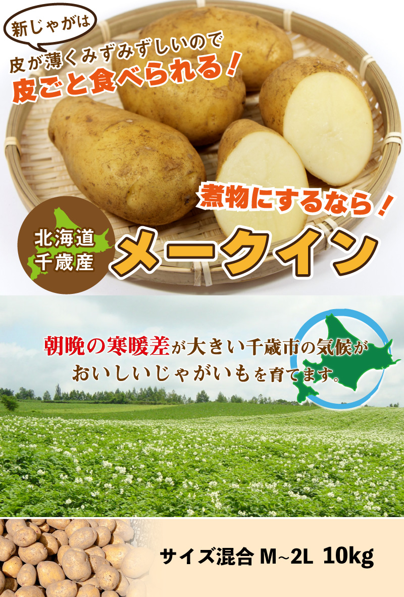 北海道産 メークイン 新じゃが M〜2Lサイズ混合 10kg じゃがいも
