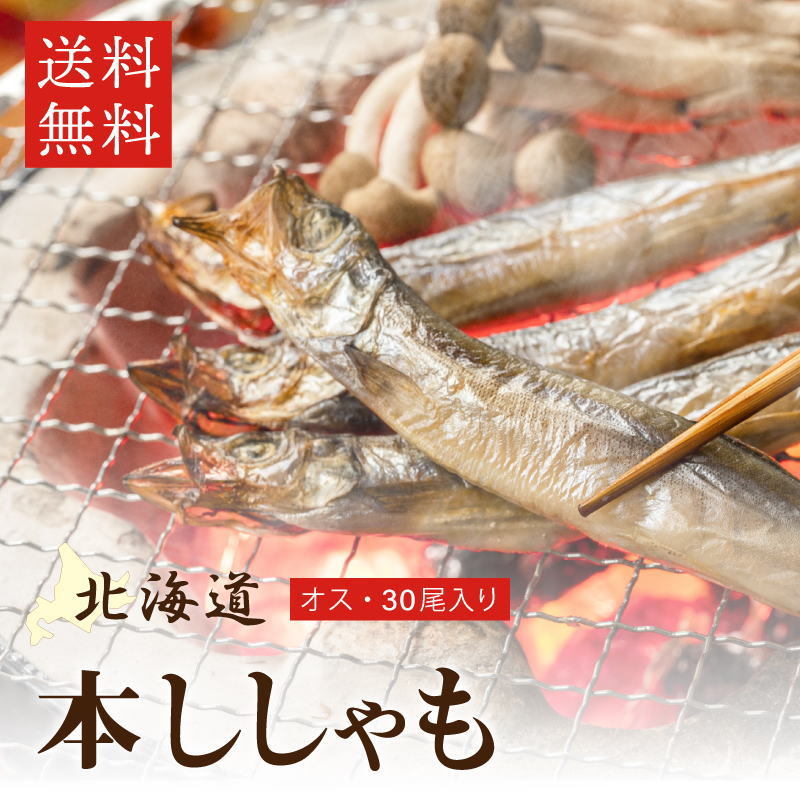 柳葉魚様 リクエスト 3点 まとめ商品 北海道産 本ししゃも オス 30尾入 シシャモ 柳葉魚 送料無料 : チトセ