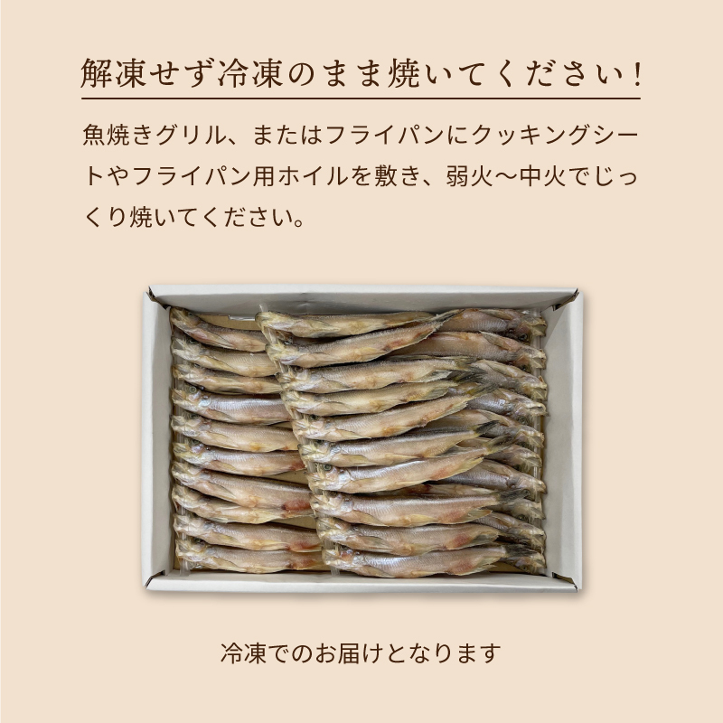 【北海道産】本ししゃも オス (30尾) ★シシャモ 柳葉魚 北海道産 本ししゃも オス 30尾入 シシャモ 柳葉魚 送料無料 : チトセ
