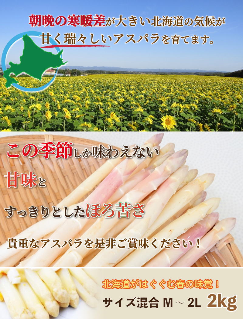 ホワイトアスパラ 2kg（混合M〜2Lサイズ）北海道産 ご予約販売 5