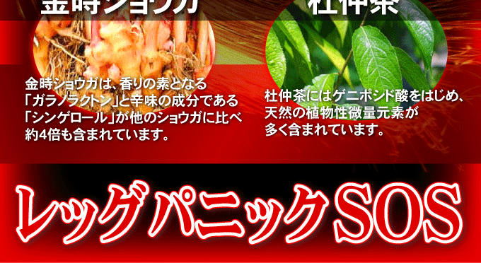 レッグパニックSOS