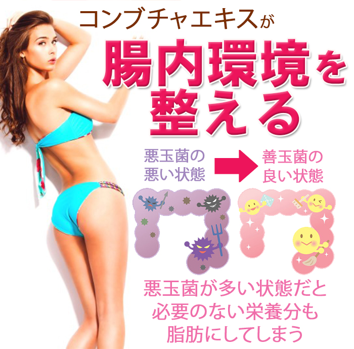 【お得2個セット】コンブチャプレミアム スッキリ 美ボディ ビタミン酵母 キトサン 葉酸などを追加してパワーアップ 紅茶 菌  昆布茶 ヘルシー発酵｜cho-kirei｜11