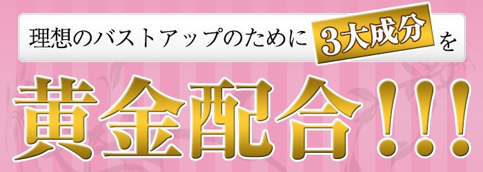 PreglaBust（プリグラバスト）