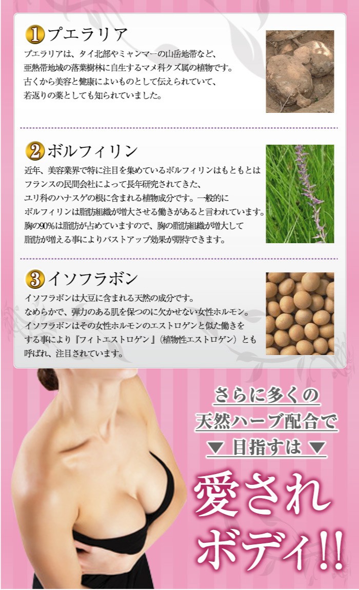 PreglaBust（プリグラバスト）