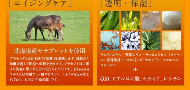 北海道サラブレッド