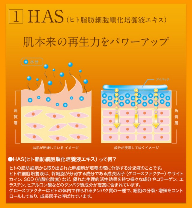 肌本来の