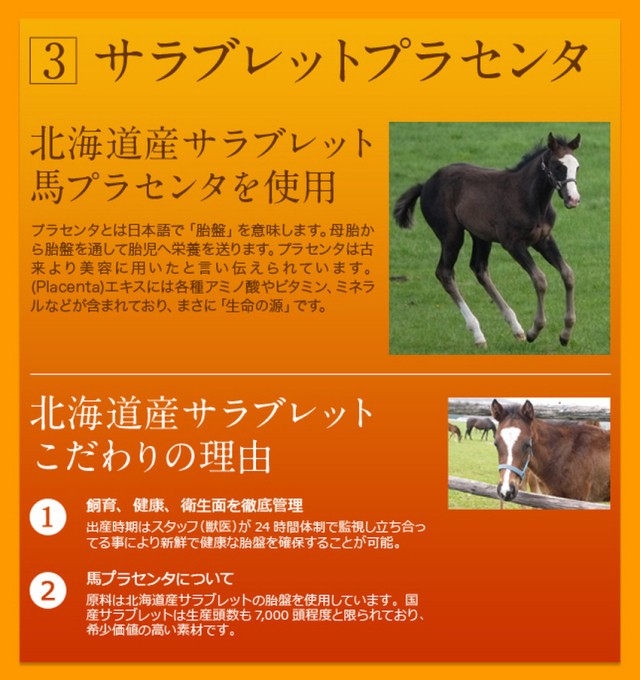 サラブレッドこだわりの理由