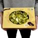 チョコレート ピーナッツ【◆ピーナッツブロックチョコBOX 800g ※】 大容量 チョコレート お菓子 個包装 ハロウィン 関連画像4