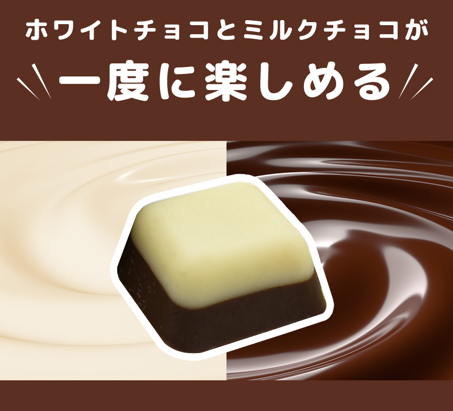 ミルクチョコレート 訳あり 【たっぷり訳ありチョコレート 選べる2個セット】ミルクチョコ ホワイトチョコ 一口サイズ 大容量 送料無料
