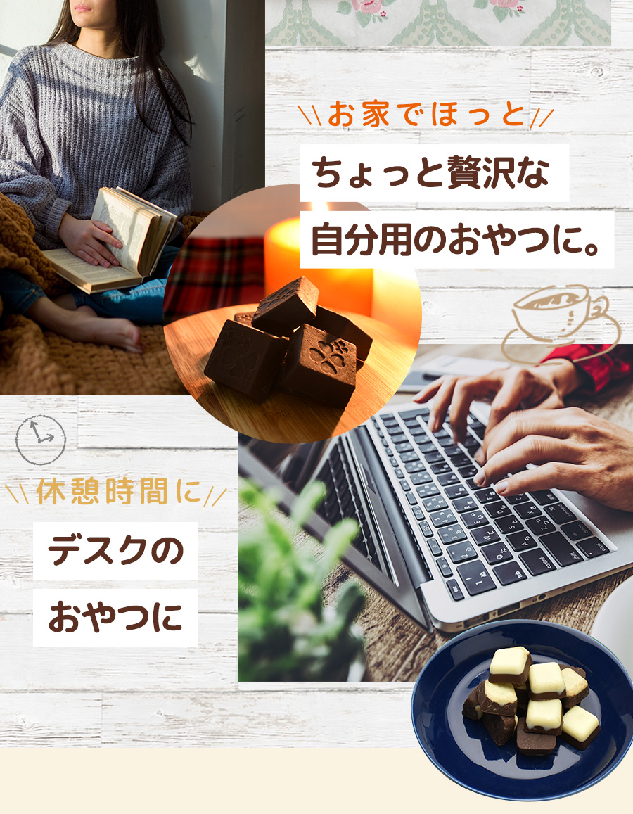 たっぷり訳ありチョコレート 選べる2個セット】ミルクチョコ ホワイトチョコ ホワイトチョコレート ミルクチョコレート 一口サイズ 大容量 送料無料  :wakeari2set-sc:ショコドーネ - 通販 - Yahoo!ショッピング