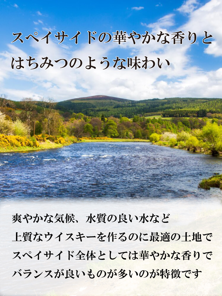 洋酒の説明