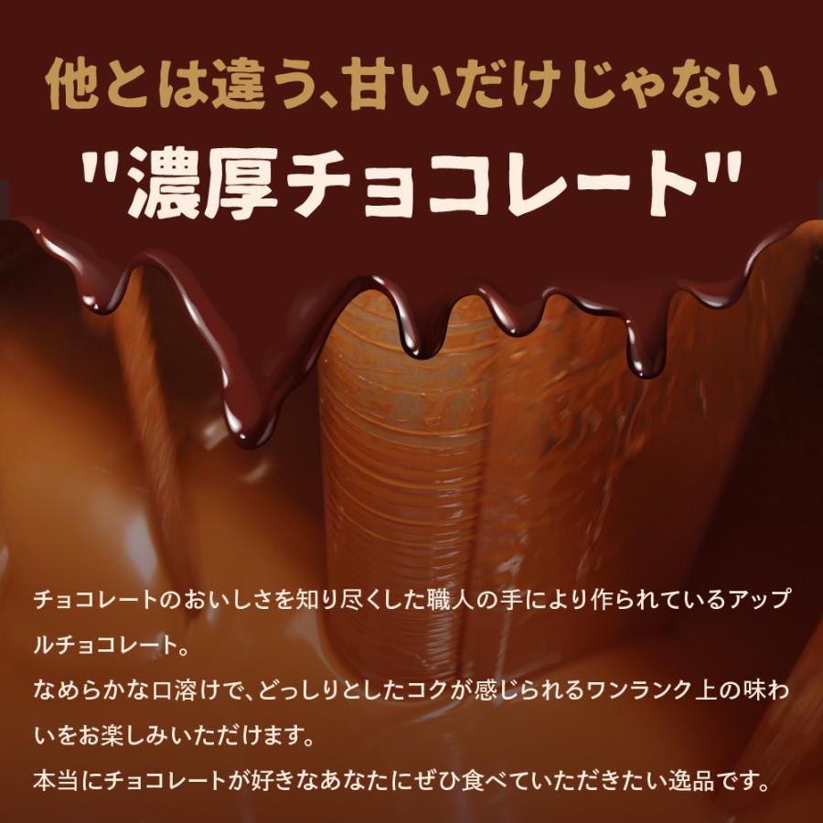 アップルチョコレート ミルク 200g りんご フルーツチョコ 業務用 母の日｜chocoru｜04