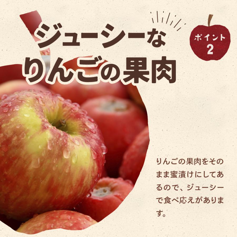 アップルチョコレート ミルク 200g りんご フルーツチョコ 業務用 母の日｜chocoru｜08