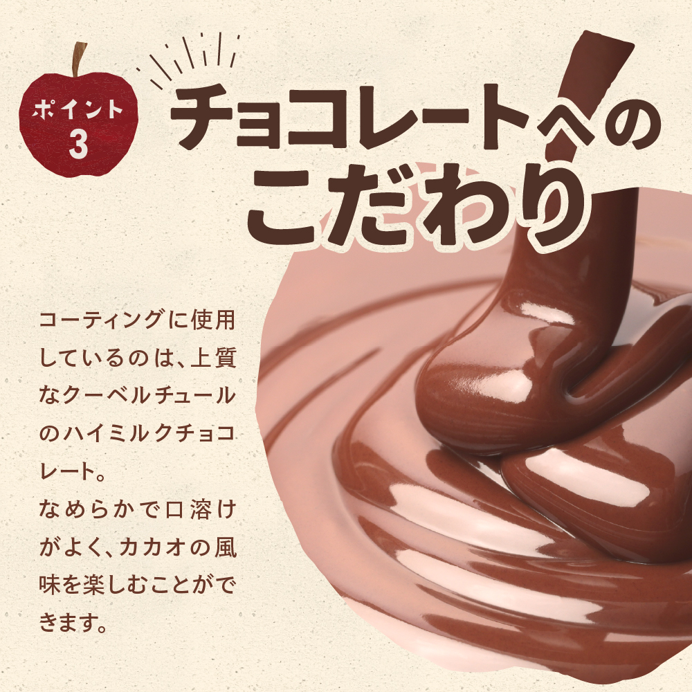 アップルチョコレート ミルク 500g りんご フルーツチョコ 業務用 お中元 御中元 夏ギフト｜chocoru｜09