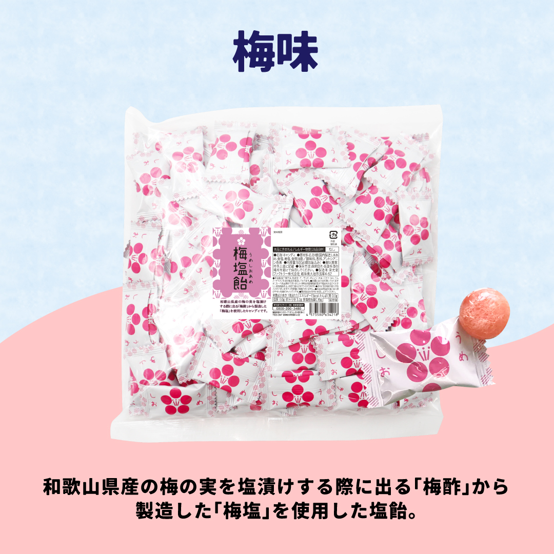 栄光堂 塩飴 業務用 500g 梅味 塩分補給 熱中症対策 : チョコレート