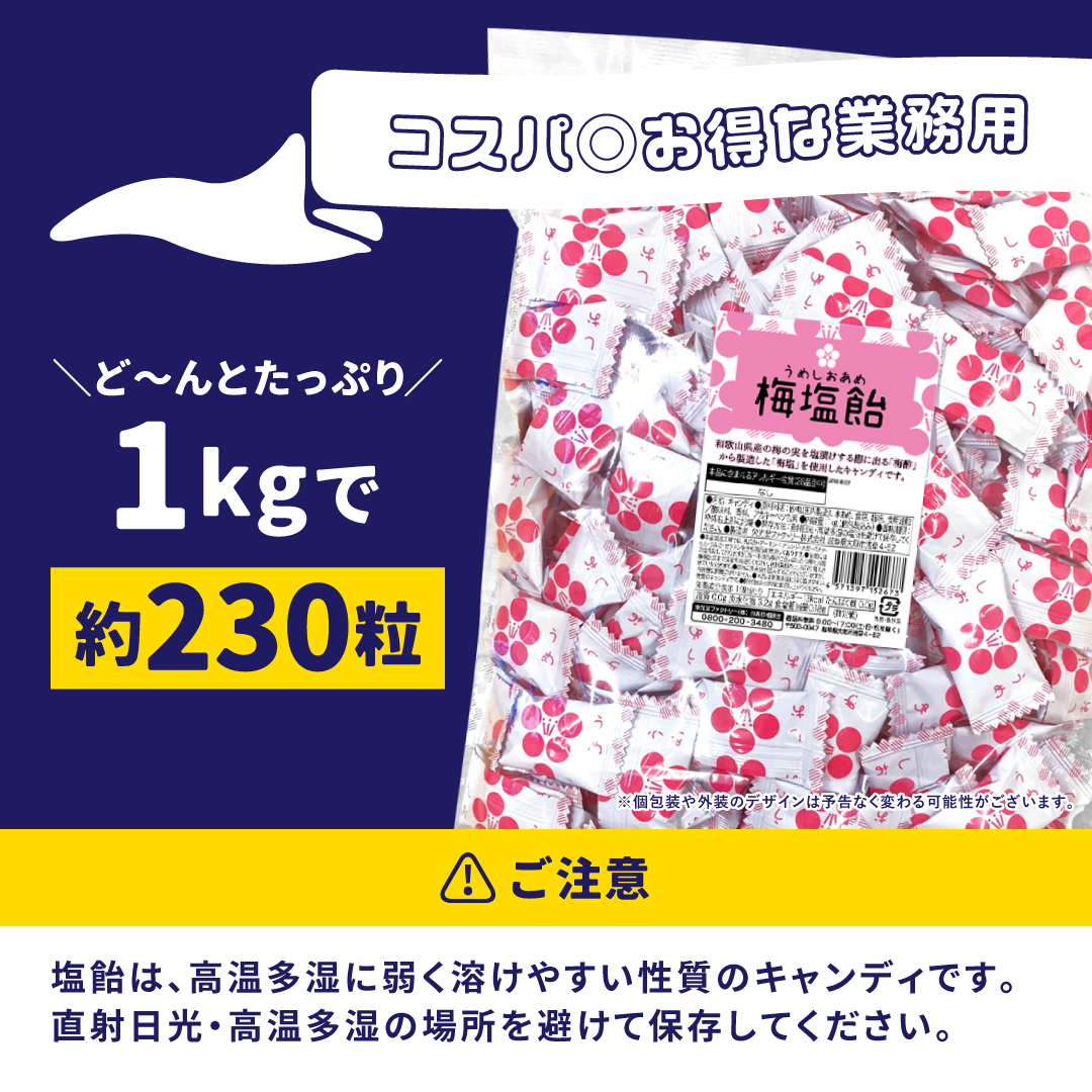 栄光堂 塩飴 業務用 1kg 梅味 塩分補給 熱中症対策 : チョコレート工房