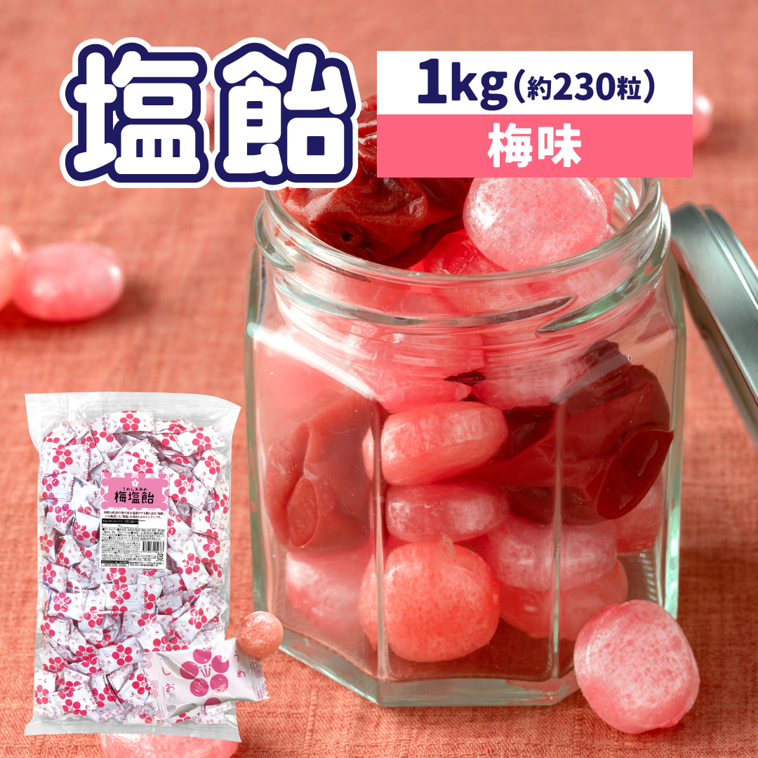 栄光堂 塩飴 業務用 1kg 梅味 塩分補給 熱中症対策 : チョコレート工房