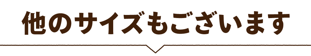 他のサイズもございます