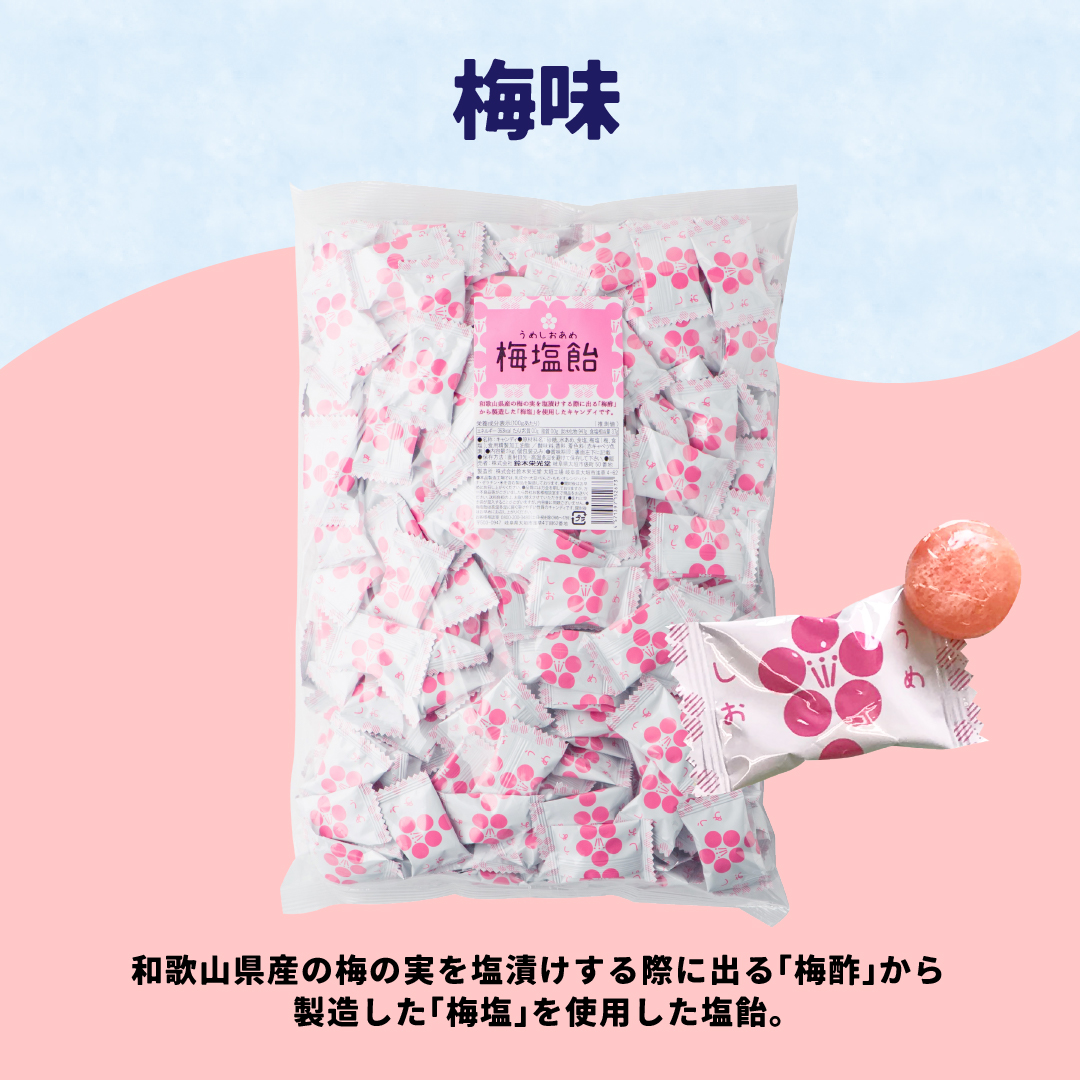 送料無料 塩飴 5種セット 5kg 約1150粒 業務用 塩分補給 熱中症対策 | 栄光堂 | 06