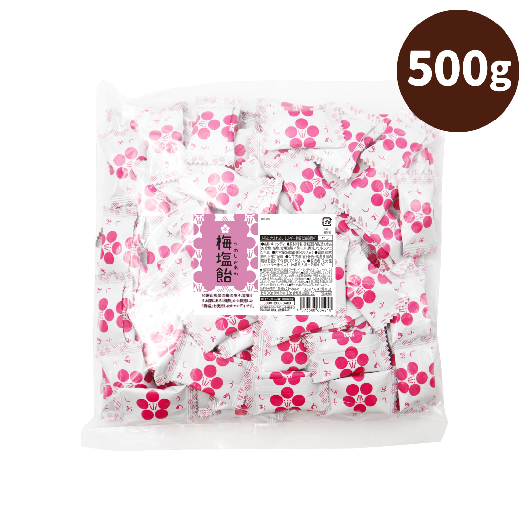 栄光堂 塩飴 業務用 500g 梅味 塩分補給 熱中症対策 : チョコレート