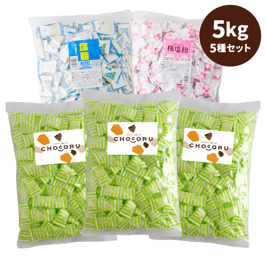 送料無料 塩飴 5種セット 5kg 約1150粒 業務用 塩分補給 熱中症対策 | 栄光堂