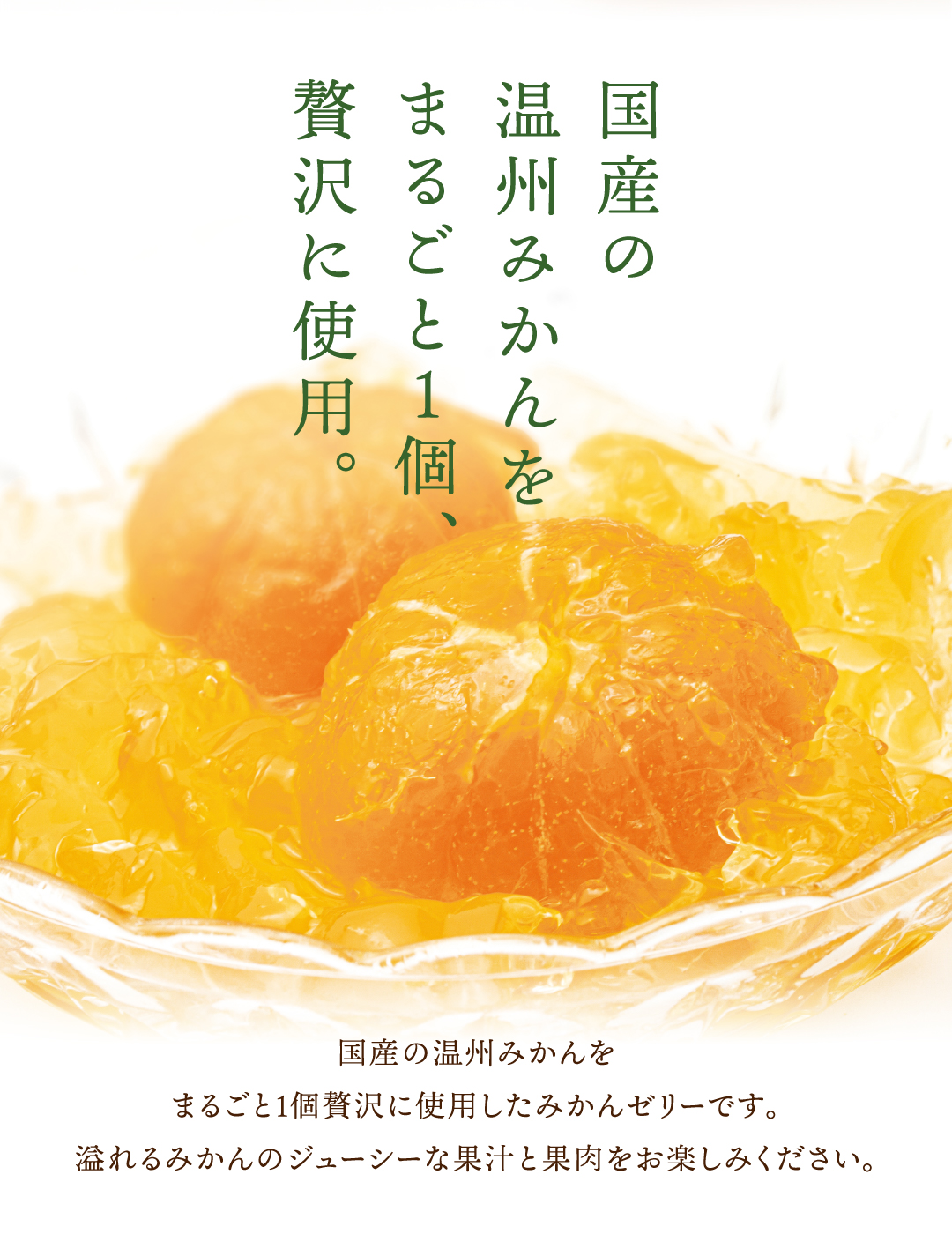 栄光堂 果実溢福 まるごとみかんゼリー 6個入 温州みかん フルーツ