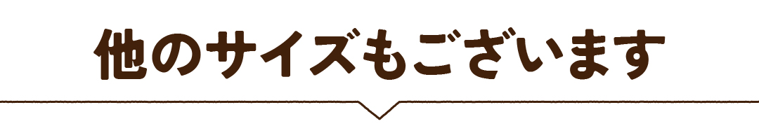 他のサイズもございます