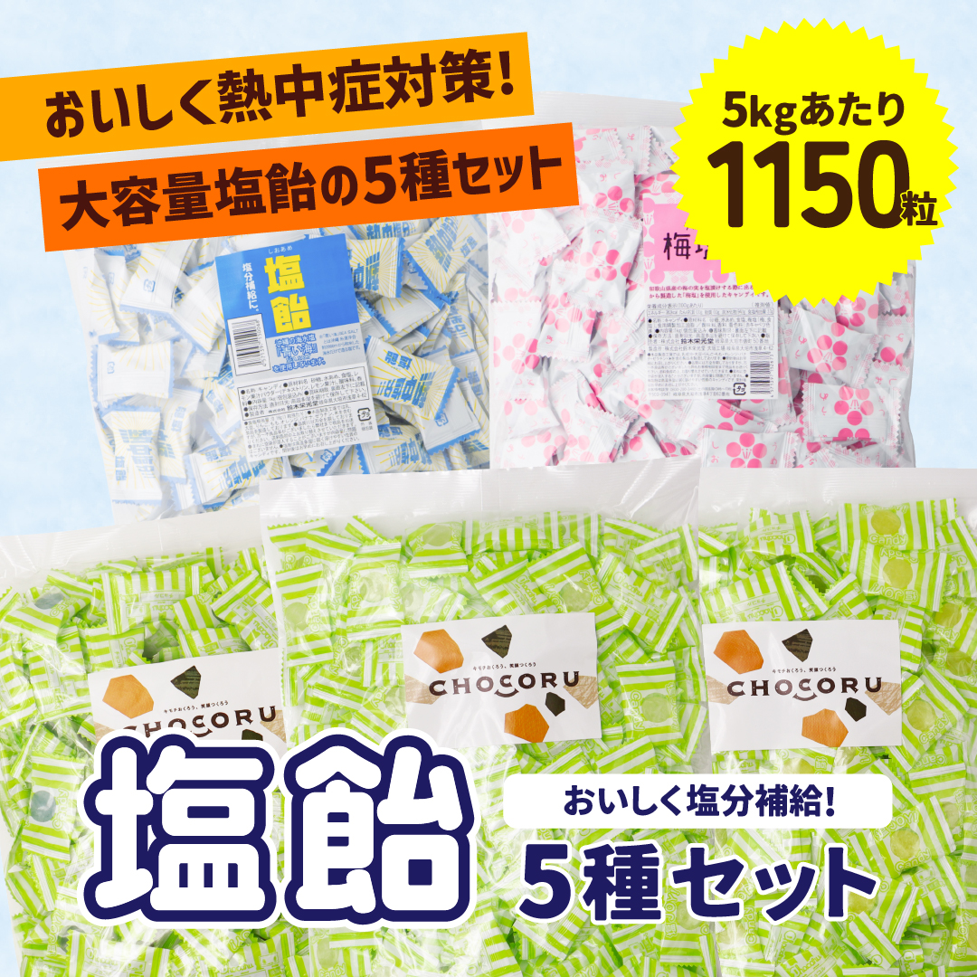 送料無料 塩飴 5種セット 5kg 約1150粒 業務用 塩分補給 熱中症対策 | 栄光堂 | 01
