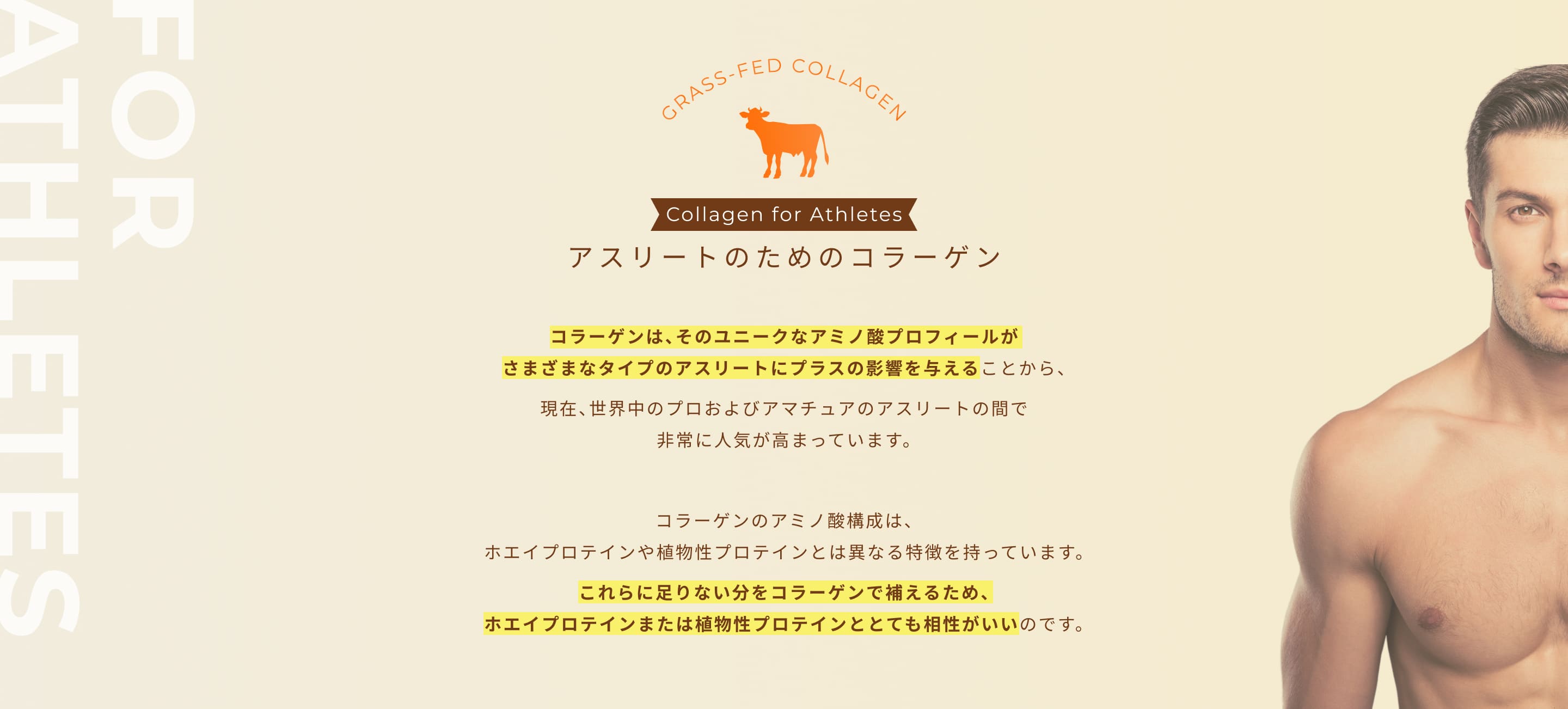 【★最終値下げ★】マルコ　グラスフェッドコラーゲン　新品 GRASS-FED COLLAGENスティックタイプ 10回分(※) | 補整下着(補正