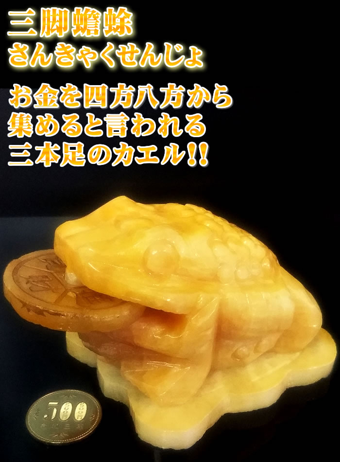 三脚蟾蜍（さんきゃくせんじょ）